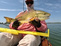 24" Redfish on 20240517